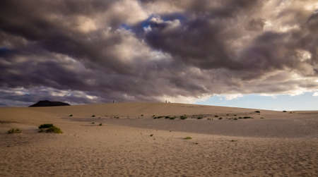 Dunes National Park in Corralejo, Fuerteventura, Canary Islands, Spainの写真素材