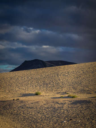 Dunes National Park in Corralejo, Fuerteventura, Canary Islands, Spainの写真素材