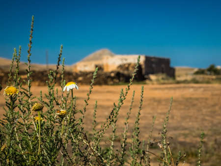 Landscape around La Oliva, Fuerteventura,  Canary Islands, Spainの写真素材