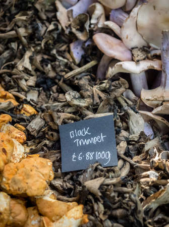 Fresh black trumpet mushrooms on sale in the farmers Borough Market in London, England, Uk