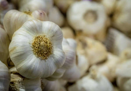 Pile of fresh garlic on sale in the market