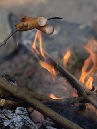 Frankfurters fried over open fire at a camping site in a wildの写真素材
