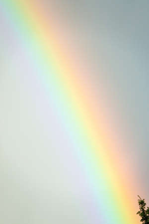 Large rainbow over the cloudy and rainy skyの写真素材