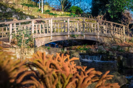 Wooden bridge in front of a small artificial waterfall in Regents Park, Londonの写真素材