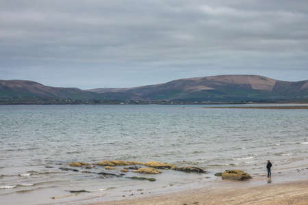 Waterville, Ireland -  April 2017 : Man standing on the seashore in Ballingskelligs Bay Beach, Waterville, County Kerry, Irelandのeditorial素材