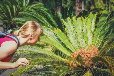 Female tourists taking closer look at one of many tropical plants in botanical garden in Yunnan in Chinaの写真素材