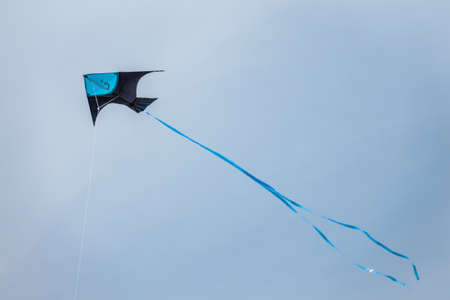 Black and blue kite flying high in the skyの写真素材