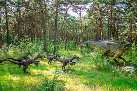 Solec Kujawski, Poland -  August 2017 :  Life sized group of Raptor dinosaurs statues in a forestのeditorial素材