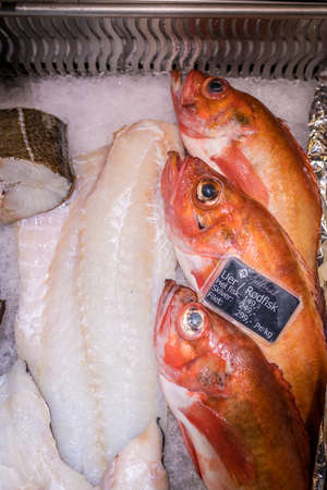 Bergen, Norway -  October 2017 :  Fresh seafood in cold display on the indoor fish marketのeditorial素材