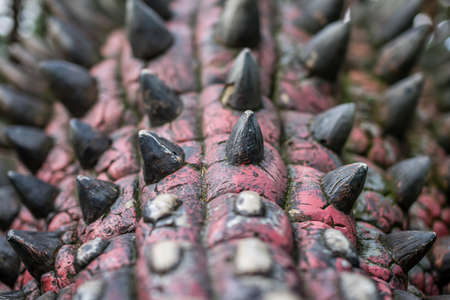 Solec Kujawski, Poland -  August 2017 :  Close up of a body spikes of a life sized ankylosaurus dinosaur statueのeditorial素材