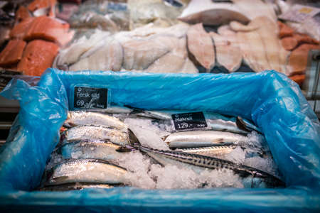 Bergen, Norway -  October 2017 :  Fresh seafood in cold display on the indoor fish marketのeditorial素材