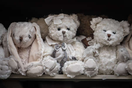Bydgoszcz, Poland -  August 2017 :  Soft and cuddly bear toys for sale displayed in a shop windowのeditorial素材