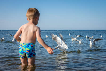 Little caucasian boy standing in the sea and throwing pieces of bread to white seagulls