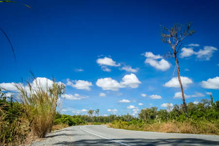 Empty paved road through the tropical rural countrye in the southern part of Cambodiaの写真素材