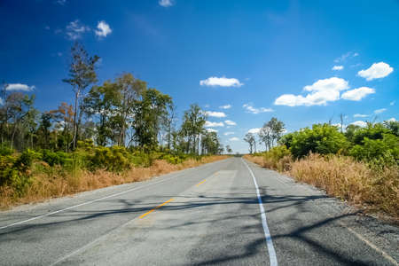 Empty paved road through the tropical rural countrye in the southern part of Cambodiaの写真素材