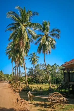 Dusty gravel road through the tropical rural countrye in the southern part of Cambodiaの写真素材