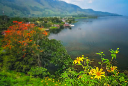 Shore of the magnificent Lake Toba on the Sumatra Island, Indonesiaの写真素材