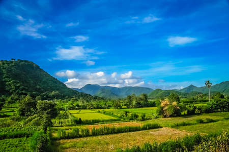 Dense tropical landscape of the Indonesian Bali island, Indonesia, Asiaの写真素材