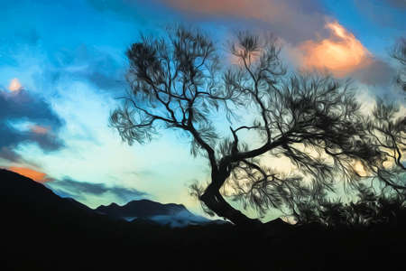 Leafless tree with the cloudy background photographed in late autumn in New Zealandの写真素材