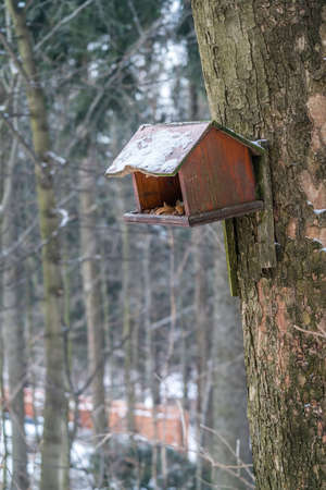 Small wooden bird feeder in the forest in winter