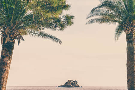 Palmtrees on the shore and beach in Petrovac with monastery on the rock in the background, Montenegroの写真素材