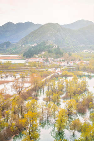 Yellow trees reflected in the shallow shore waters of the Skadar Lake, Skadar Lake National Park, Montenegroの写真素材