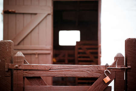 Wooden gates with unlocked padlock to the barn and anmial enclosure on a farm in Cornwall, England,...