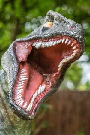 Sharp teeth in an open mouth of a Velociraptor dinosaur statueの写真素材