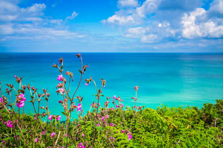 Landscape of the green rural Cornish hillside meadow and the turquoise sea, Cornwall, England, UKの写真素材