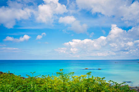 Landscape of the green rural Cornish hillside meadow and the turquoise sea, Cornwall, England, UKの写真素材