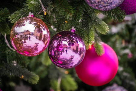 Colorful Christmas decorations hanging from the branches of the Christmas tree in December