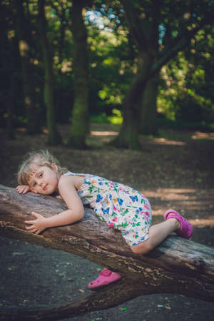 Cute Caucasian girl posing on a tree trunk in a forest in summerの写真素材