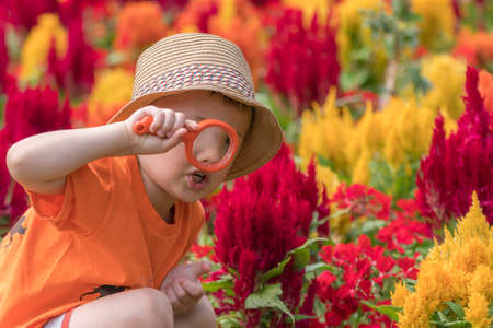 Photo of cute little happy Caucasian boy with a straw hat holding magnifying glass while looking for small insects among the blooming colorful flowers in the garden.の写真素材