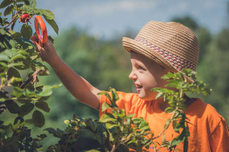 Photo of cute little happy Caucasian boy with a straw hat holding magnifying glass while looking for small insects among trees in the garden.の写真素材