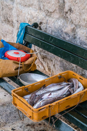 Freshly caught fish in a box taken from the fisherman boat after his return from the seaの写真素材