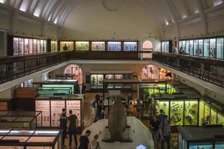 London, England - October 2018 : Interior Hall with exhibits in the Horniman Museum in Forest Hill, London. Commissioned in 1898, it opened in 1901 and was designed by Charles Harrison Townsend in the Arts and Crafts styleのeditorial素材