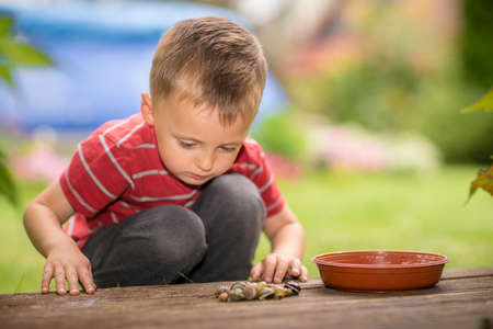 Little boy playing with tiny snails collected in a garden