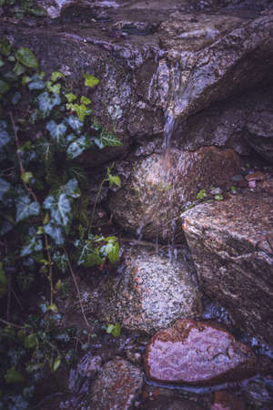 Water dripping over stones in a small stream in the mountains in the eveningの写真素材