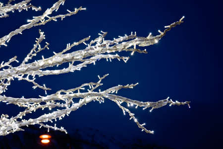 Winter tree with lights and decorations, Tromso town, Northern Norway