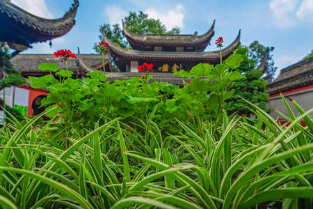 Plants and flowers in the courtyard of the Buddhist Wenshu Monastery, Chengdu, Sichuan Province,...