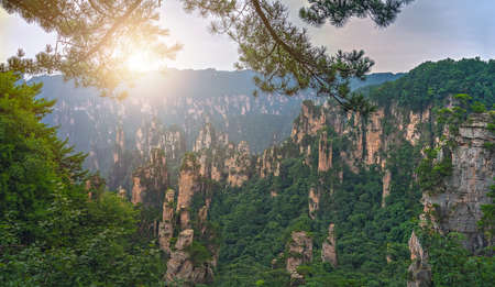 Panoramic view of the stone pillars of Tianzi mountains in Zhangjiajie National park which is a famous tourist attraction, Wulingyuan, Hunan Province, Chinaの写真素材
