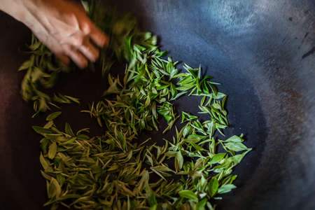A shot of fresh tea leaves gathered from the plantation and being dried in a big hot metal bowlの写真素材