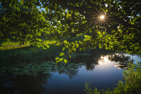 Sun shining over small pond on a calm day in summer, idyllic location for rest and chilloutの写真素材