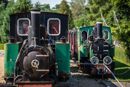 The old disused narrow gauge train locomotives in the museum in Wenecja in Poland