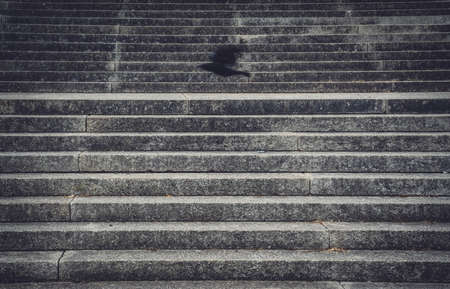 Blurred shadow of a black crow flying over concrete stairs in summerの写真素材