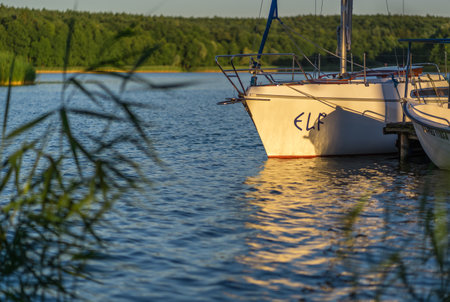 Jezioro Ostrowieckie, Poland - July 2020 : A small private boats on the shore of a lake surrounded by reed and trees under the blue skyのeditorial素材