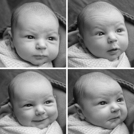 photo collage: four images of a newborn baby in black and whiteの写真素材