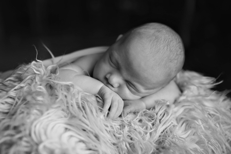 newborn baby lying on a white and black background. Imitation of a baby in the womb. beautiful little child sleeping lying on her tummy. Portrait of newbornの写真素材