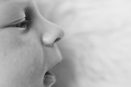 portrait of newborn baby. nose close up on white and black coloursの写真素材