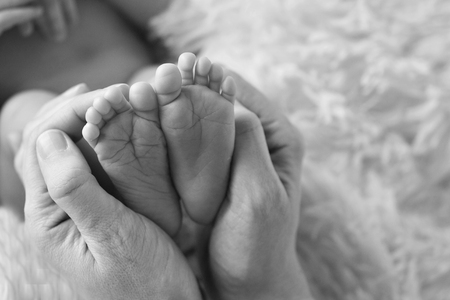 baby feet close up in white and balck coloursの写真素材